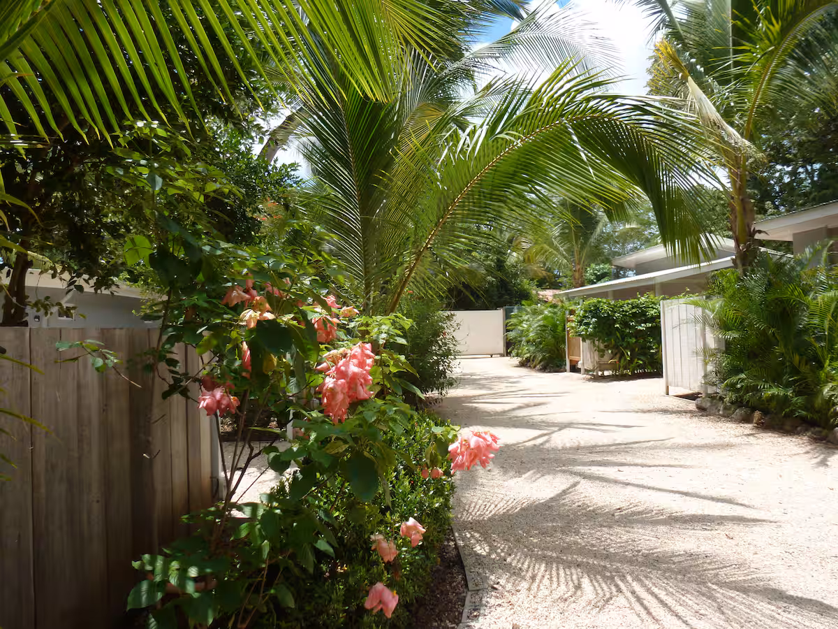 Camino tropical entre los bungalows de El Pasito, Playa Potrero